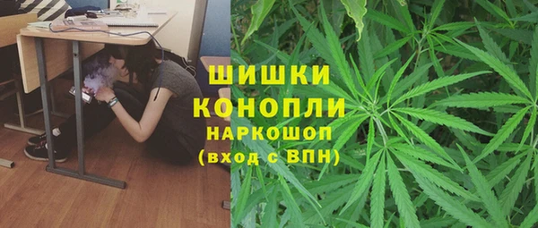 эйфоретик Мегион