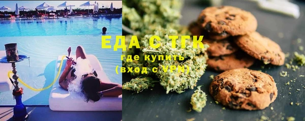 индика Ельня