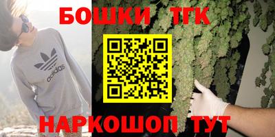 гашик Аргун