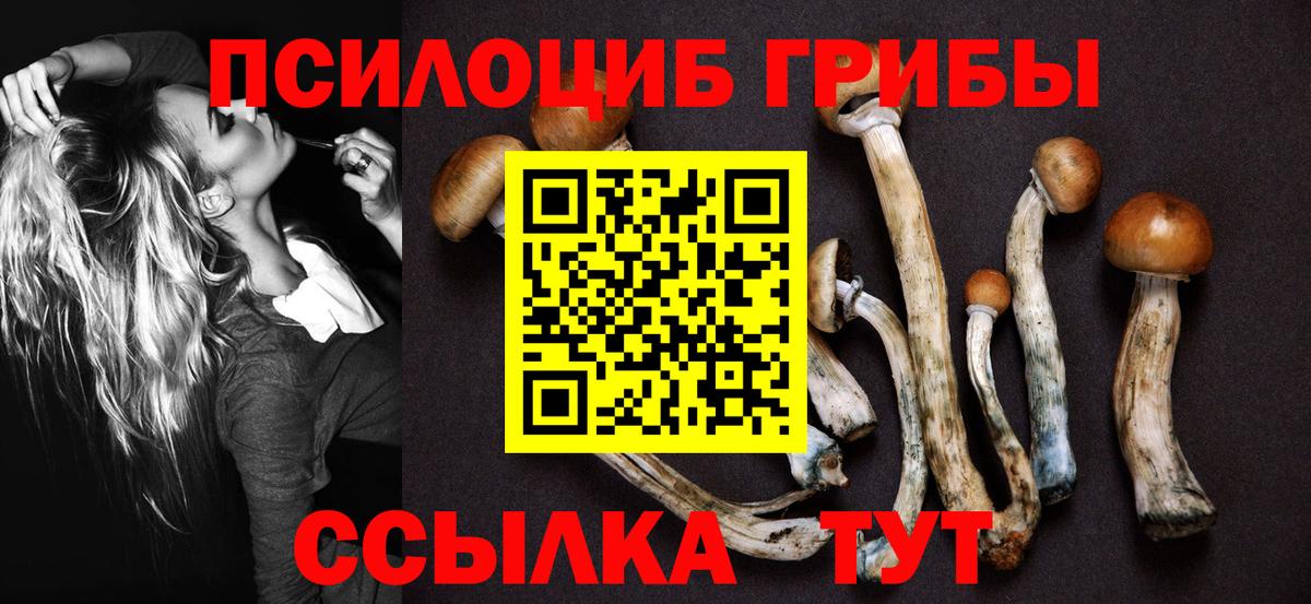 Псилоцибиновые грибы ЛСД Избербаш